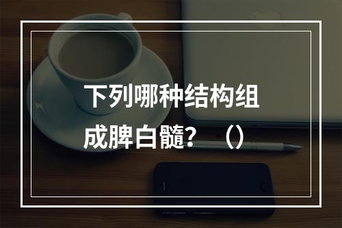 下列哪种结构组成脾白髓？（）