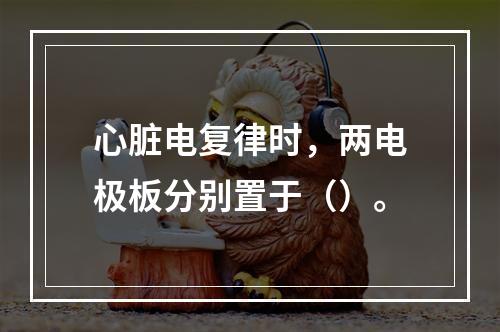 心脏电复律时，两电极板分别置于（）。