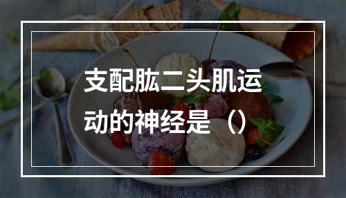 支配肱二头肌运动的神经是（）