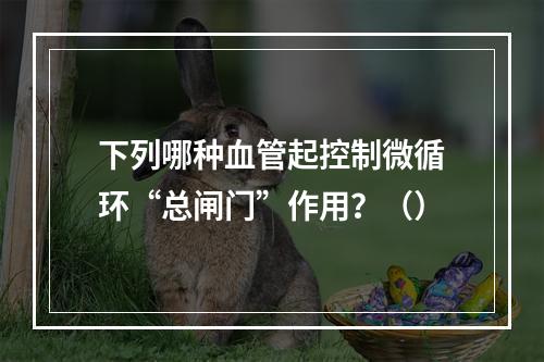 下列哪种血管起控制微循环“总闸门”作用？（）