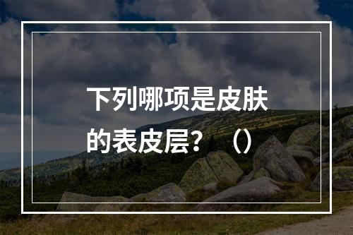 下列哪项是皮肤的表皮层？（）