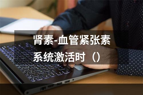 肾素-血管紧张素系统激活时（）