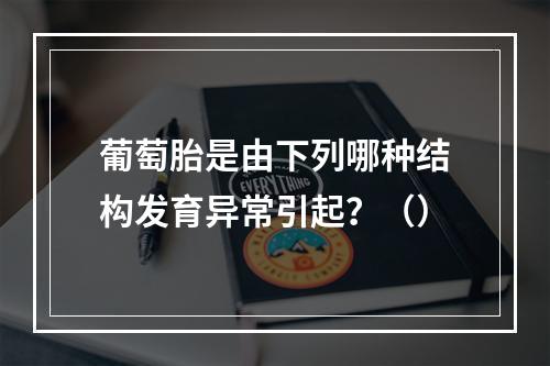 葡萄胎是由下列哪种结构发育异常引起？（）