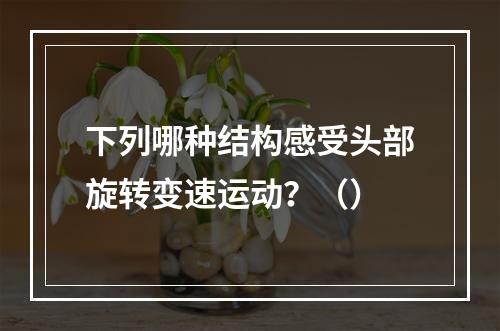 下列哪种结构感受头部旋转变速运动？（）