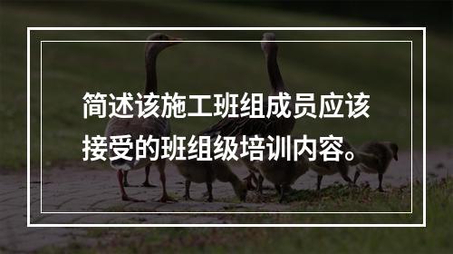 简述该施工班组成员应该接受的班组级培训内容。