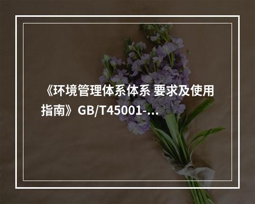 《环境管理体系体系 要求及使用指南》GB/T45001-20