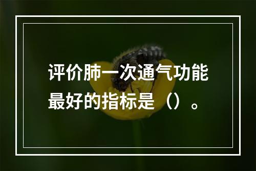 评价肺一次通气功能最好的指标是（）。