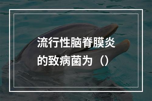 流行性脑脊膜炎的致病菌为（）