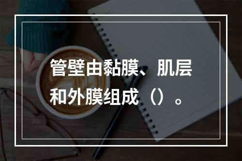 管壁由黏膜、肌层和外膜组成（）。