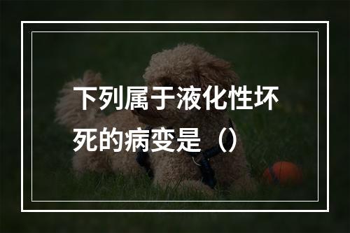 下列属于液化性坏死的病变是（）