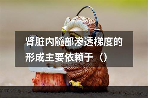 肾脏内髓部渗透梯度的形成主要依赖于（）