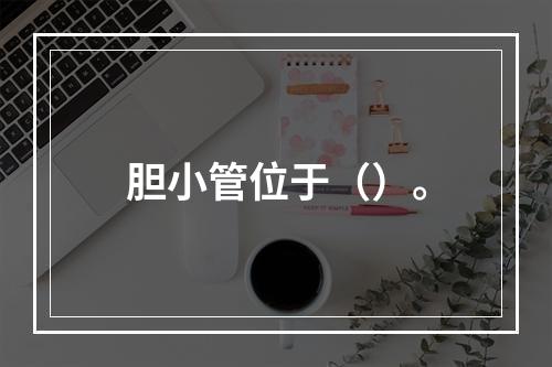 胆小管位于（）。