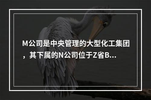 M公司是中央管理的大型化工集团，其下属的N公司位于Z省B市