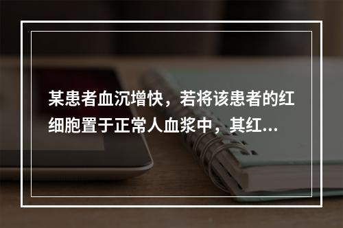 某患者血沉增快，若将该患者的红细胞置于正常人血浆中，其红细胞