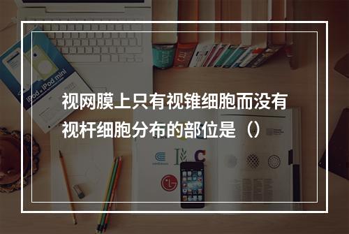 视网膜上只有视锥细胞而没有视杆细胞分布的部位是（）