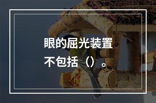 眼的屈光装置不包括（）。