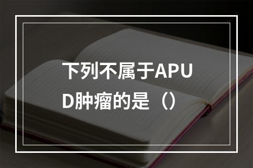 下列不属于APUD肿瘤的是（）