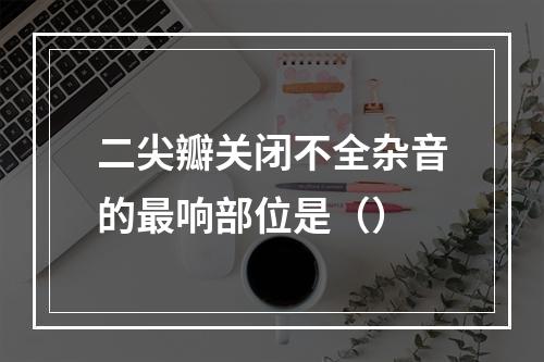 二尖瓣关闭不全杂音的最响部位是（）