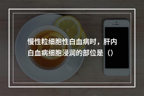 慢性粒细胞性白血病时，肝内白血病细胞浸润的部位是（）