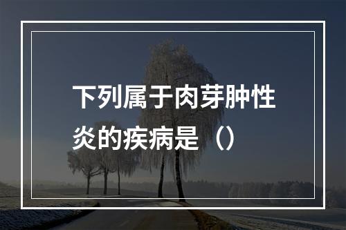 下列属于肉芽肿性炎的疾病是（）