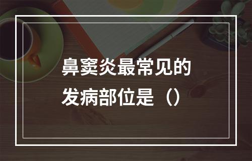 鼻窦炎最常见的发病部位是（）