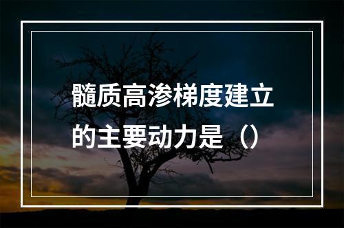 髓质高渗梯度建立的主要动力是（）