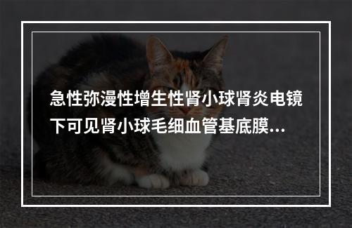 急性弥漫性增生性肾小球肾炎电镜下可见肾小球毛细血管基底膜的变