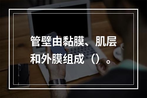 管壁由黏膜、肌层和外膜组成（）。