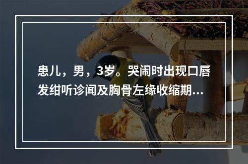 患儿，男，3岁。哭闹时出现口唇发绀听诊闻及胸骨左缘收缩期杂音