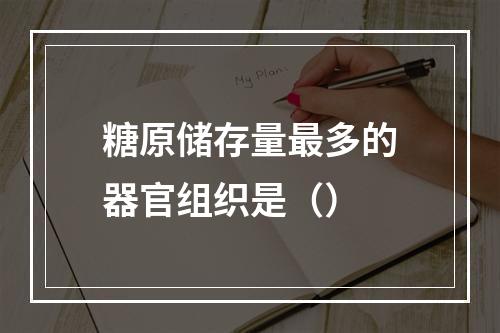 糖原储存量最多的器官组织是（）