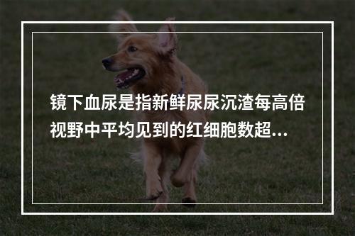 镜下血尿是指新鲜尿尿沉渣每高倍视野中平均见到的红细胞数超过（