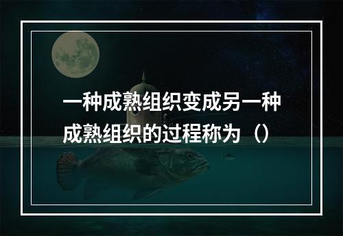 一种成熟组织变成另一种成熟组织的过程称为（）