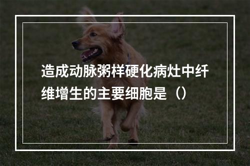 造成动脉粥样硬化病灶中纤维增生的主要细胞是（）