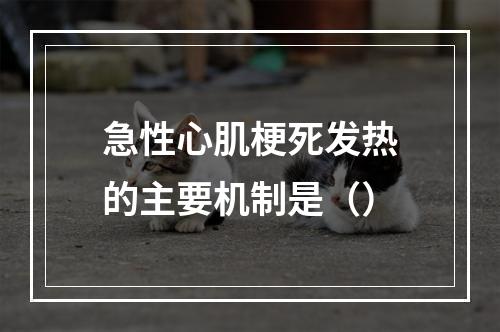 急性心肌梗死发热的主要机制是（）