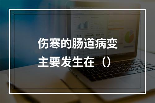 伤寒的肠道病变主要发生在（）