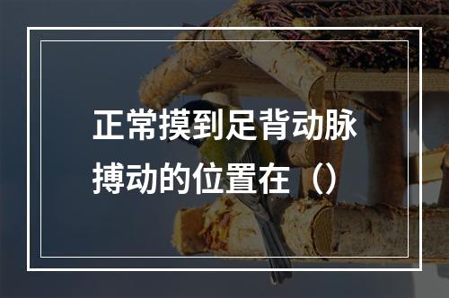 正常摸到足背动脉搏动的位置在（）