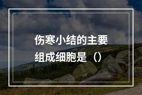 伤寒小结的主要组成细胞是（）