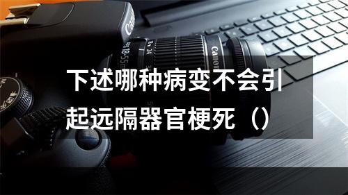 下述哪种病变不会引起远隔器官梗死（）