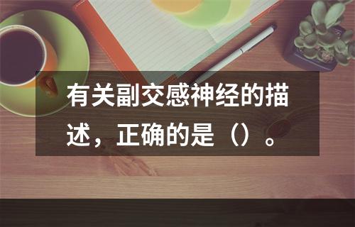 有关副交感神经的描述，正确的是（）。