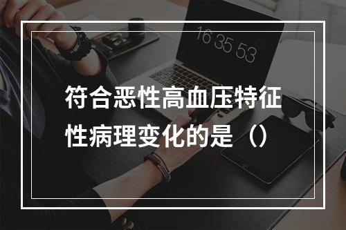 符合恶性高血压特征性病理变化的是（）