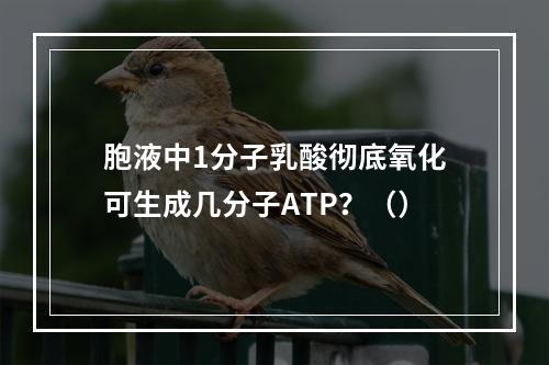 胞液中1分子乳酸彻底氧化可生成几分子ATP？（）