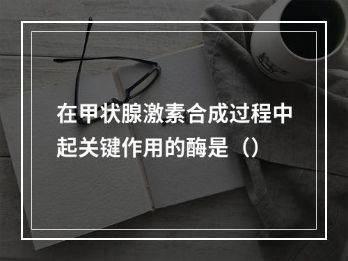 在甲状腺激素合成过程中起关键作用的酶是（）