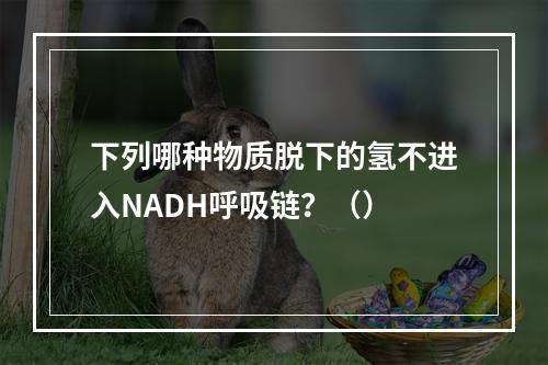 下列哪种物质脱下的氢不进入NADH呼吸链？（）