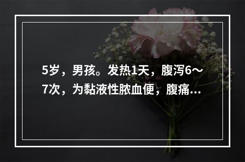 5岁，男孩。发热1天，腹泻6～7次，为黏液性脓血便，腹痛伴里