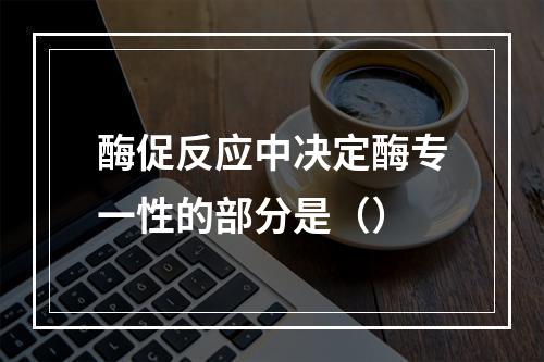 酶促反应中决定酶专一性的部分是（）