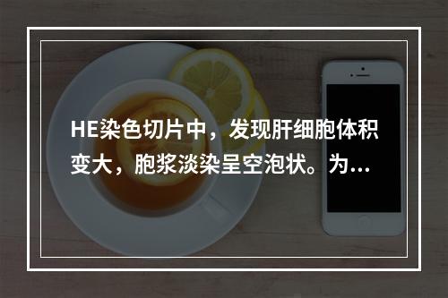 HE染色切片中，发现肝细胞体积变大，胞浆淡染呈空泡状。为确定