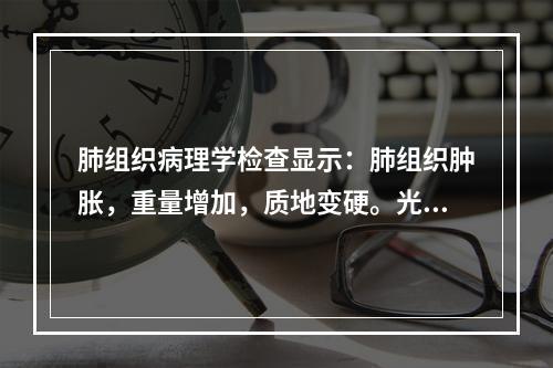 肺组织病理学检查显示：肺组织肿胀，重量增加，质地变硬。光镜下