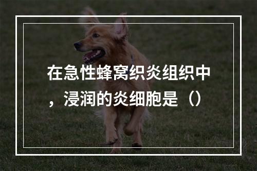 在急性蜂窝织炎组织中，浸润的炎细胞是（）