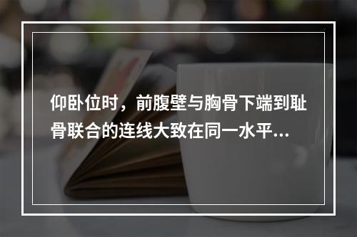 仰卧位时，前腹壁与胸骨下端到耻骨联合的连线大致在同一水平面上