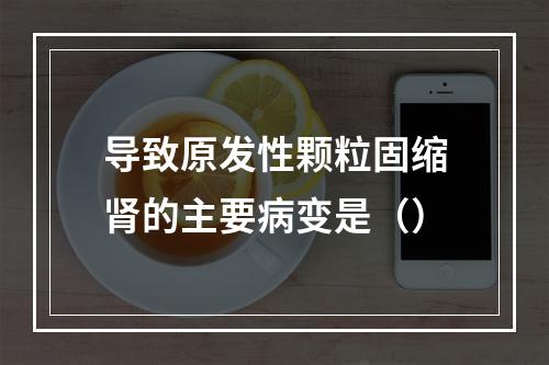 导致原发性颗粒固缩肾的主要病变是（）